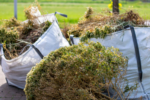 Best Moving and Downsizing Cleanouts  in Miami Lakes, FL