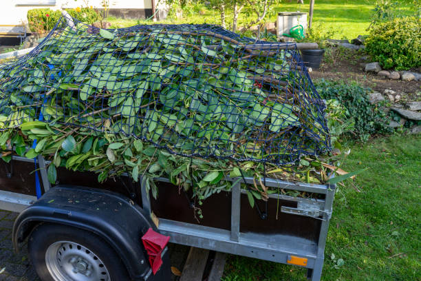 Professional Junk Removal Services in Miami Lakes, FL